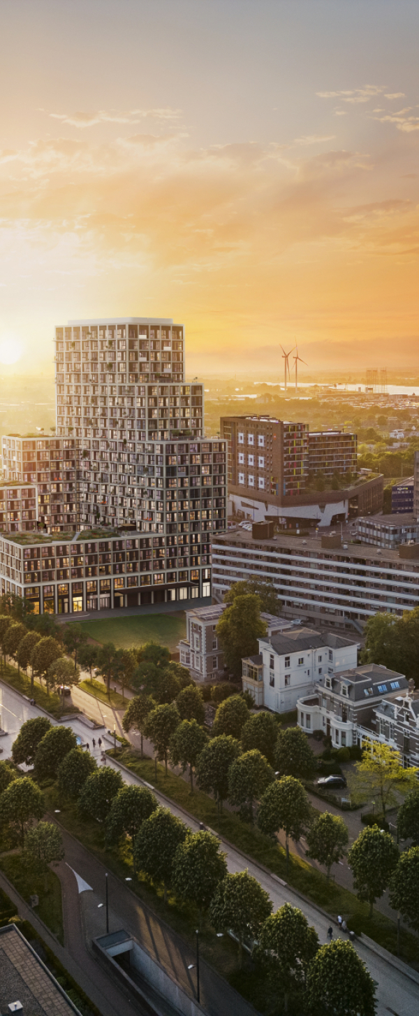 Metterswane Nijmegen