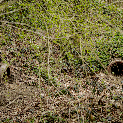Dassenburcht VolkerWessels