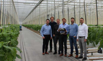 Visser & Smit Hanab - Greenbrothers - team.jpg