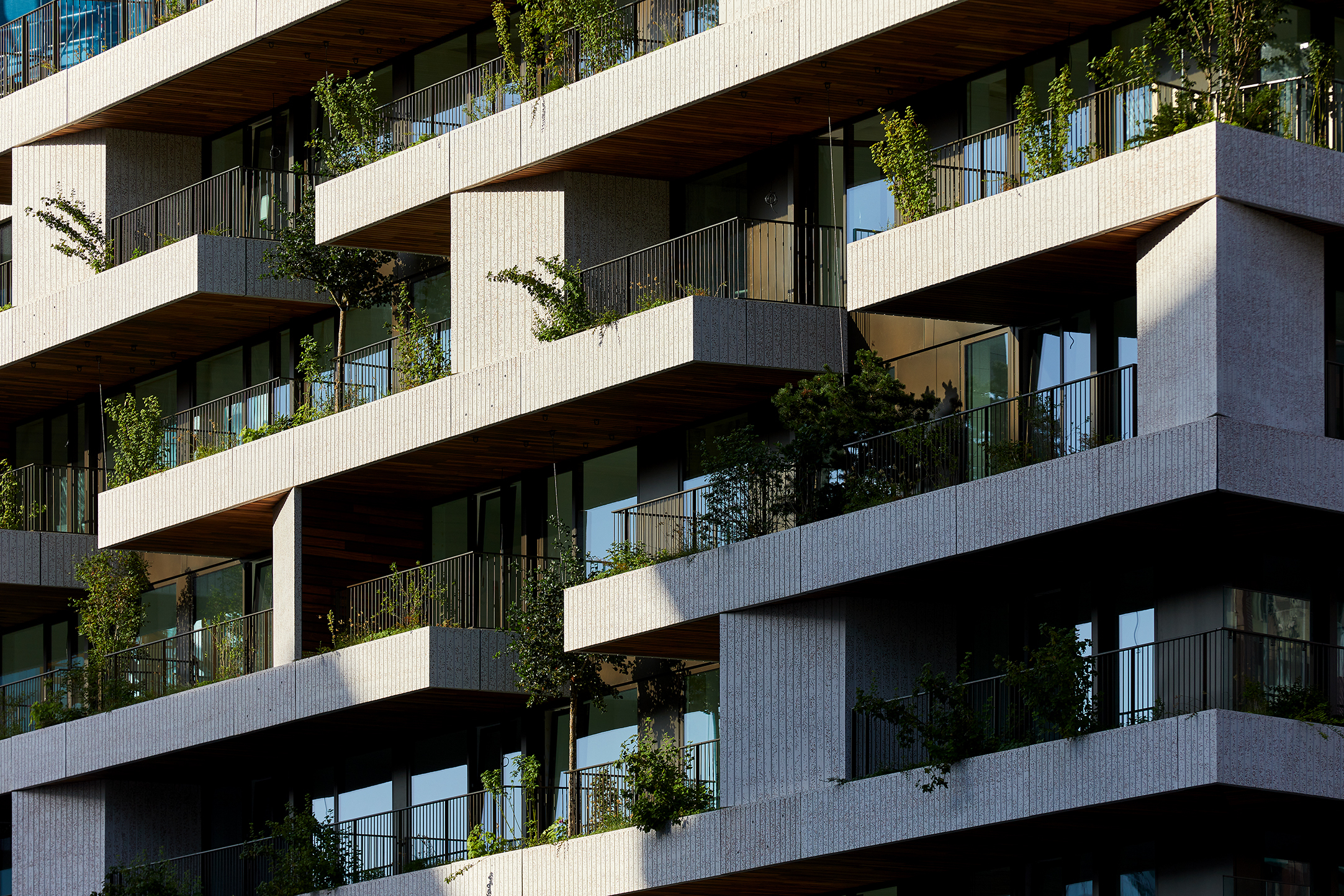 Topping Out Wonderwoods Green - ©Milan Hofmans, 2024 8.jpg